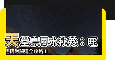 天堂鳥財位|天堂鳥風水指南：招財旺運，打造富貴家居 